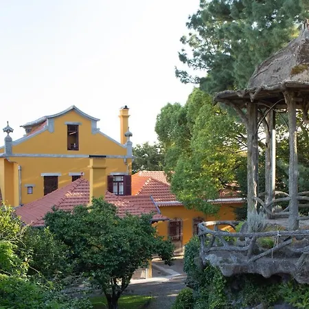 Bed & Breakfast House Of Artists